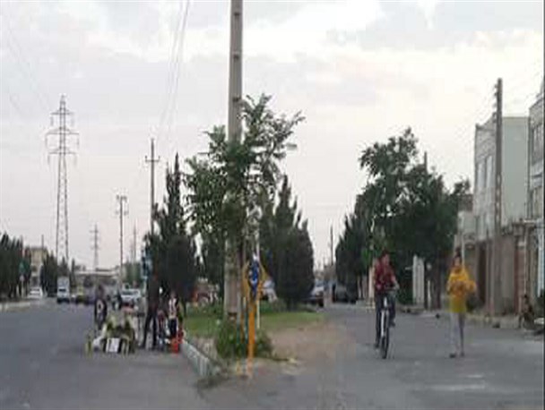 شهرداری به وضعیت تنها بلوار شهرستان تاکستان رسیدگی کند