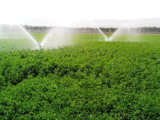 500 میلیون دلار برای توسعه روشهای نوین آبیاری کشور هزینه می شود