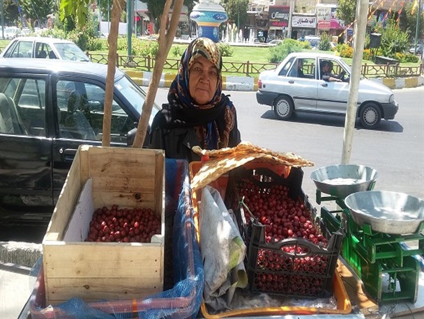گاری کوچکی که گردونه ی زندگی را می چرخاند/ قناعت پیشه ی زندگیم است