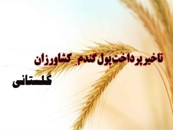 عدم پرداخت کامل پول گندمکاران گلستانی/پرداخت به صورت قطره چکانی صورت می گیرد