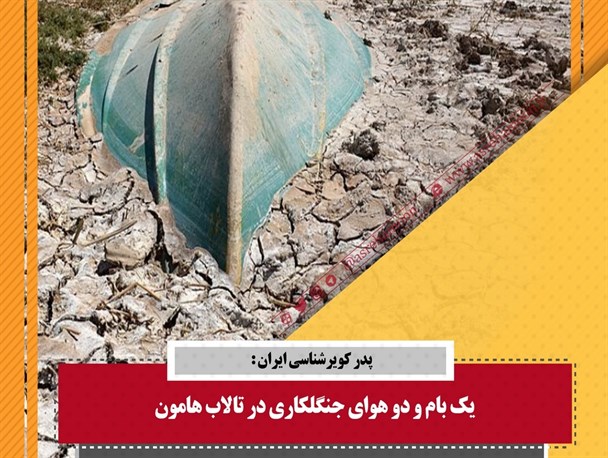 آب در سیستان و بلوچستان کیمیاست/جنگلکاری در هامون خیانت به استان
