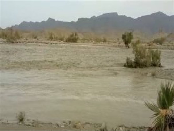 انسداد بیش از ۳۵ راه روستایی تا جان‌باختن ۴ نفر بر اثر بارندگی و صاعقه