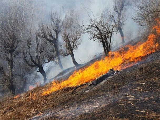 آتش‌افروزی در جنگل و مجاورت آن، جرم و مجازات آن حبس است