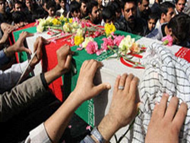 گلهای اشک زنجانی ها در انتظار دو پرستوی مهاجر در حال شکفتن است