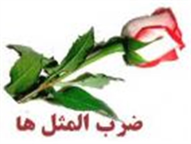 هَرْ کِین بَدْیِدْ اِسْبِی ریشَه، تَ پِیَرْ خیشَه؟