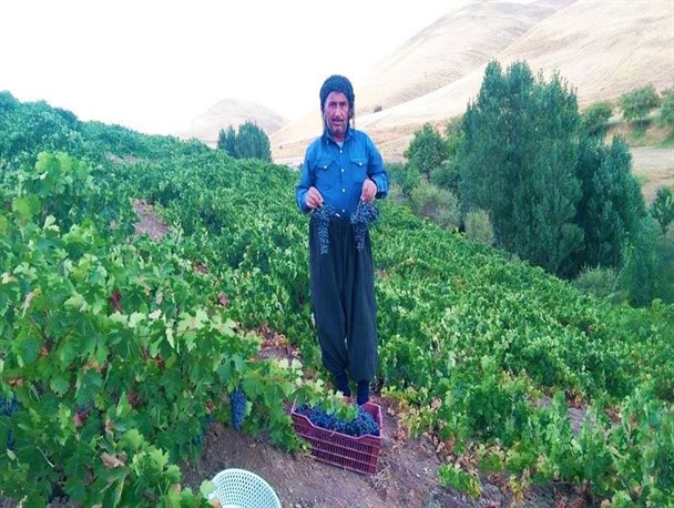 تپش روزمره زندگی در روستاهای کردستان به روایت تصویر