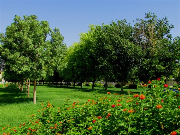 بوستان پانصد دستگاه گچساران در آخرین روز های تابستان