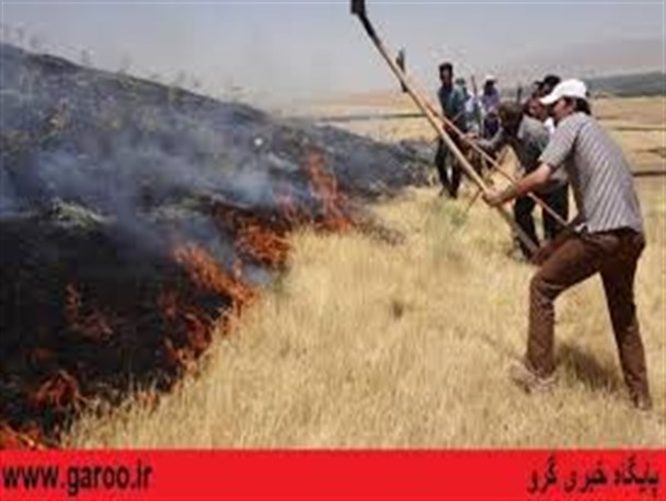 دستانی که آتش بیار معرکه می شوند/ افزایش 7 برابر آتش سوزی مراتع در زنجان