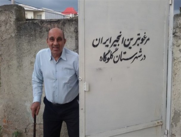 گفتگوی ویژه با پدر انجیر مازندران+تصاویر