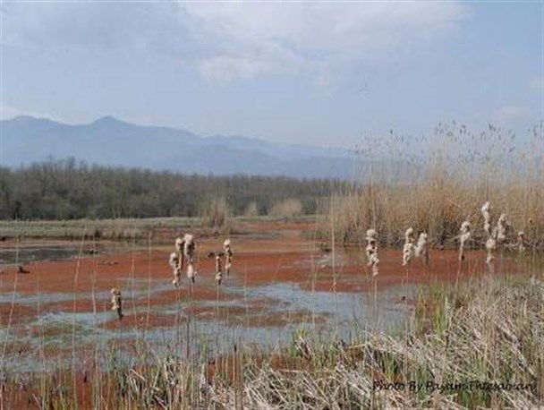 تشکیل جلسه احیای تالاب جوکندان و لیسار در تالش