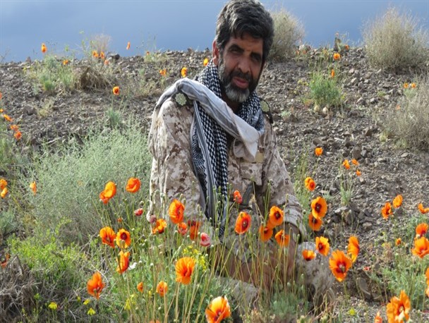 اگر از دفاع مقدس الگو می‌گرفتیم وضعیت فرهنگی ما این گونه نبود/ امثال شهید حججی ها الگوی نسل جدید هستند