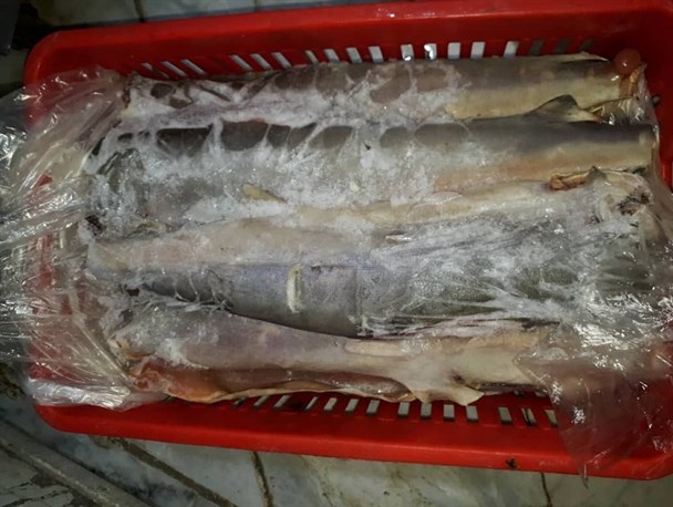 عرضه گوشت کوسه ماهی در سفرخانه سنتی در زاهدان!