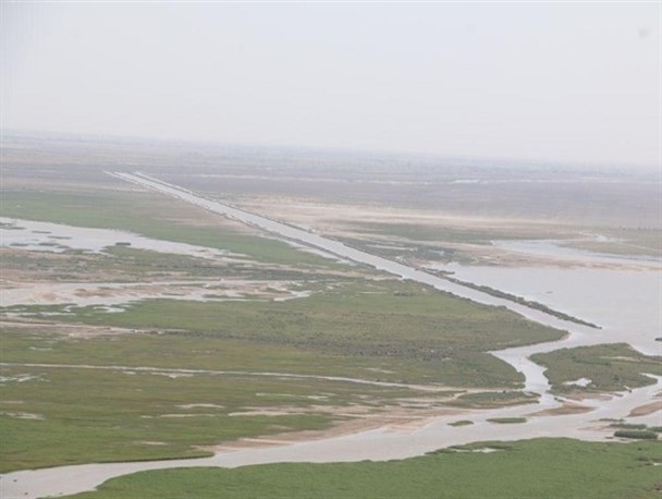 روزنه های امید برای احیای دریاچه بزرگ شرق زنده شد/ احیای پوشش گیاهی تالاب هامون؛ مرهمی بر زخم های کهنه مردم سیستان