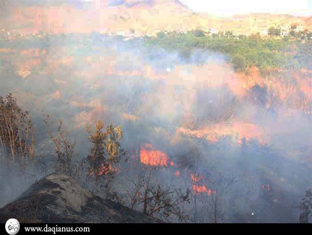 افتادن آتش به جان باغات،مراتع و جنگلهای دره زیبای دلفارد +تصاویر