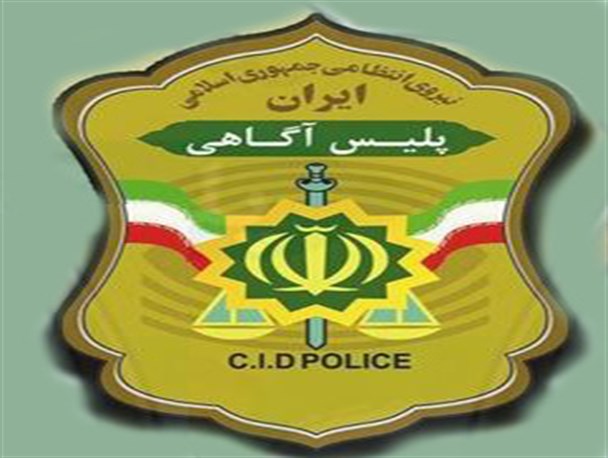 دستگیری اعضای باند سرقت وسایل خودرو درهمدان