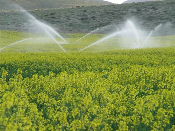 اجرای طرح‌های آبیاری نوین نیازمند ۱۸ هزار میلیارد ریال اعتبار