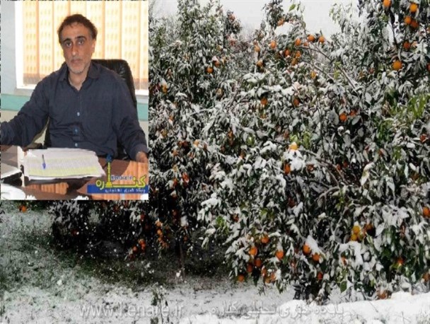 بیش از ۱۷ میلیارد ریال تسهیلات برای باغداران بندرگزی در نظر گرفته شد
