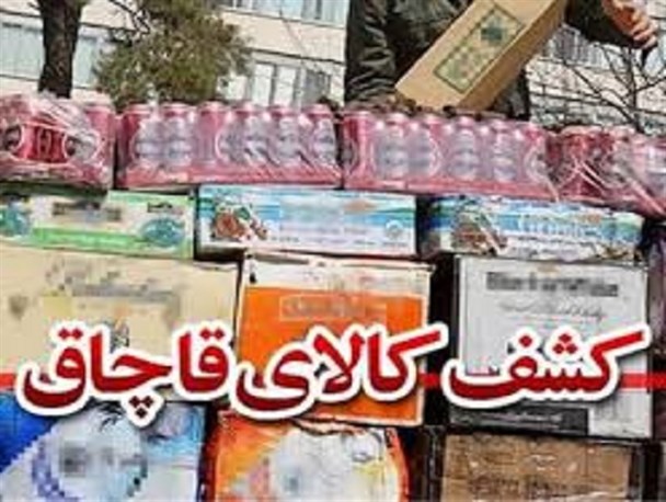 محکومیت ۲۰۰ میلیونی قاچاقچی لوازم خانگی در قزوین