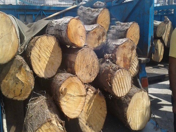 کشف ۵ تن چوب جنگلی قاچاق در ساری