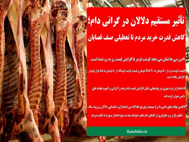تاثیر مستقیم دلالان در گرانی دام؛ از کاهش قدرت خرید مردم تا تعطیلی صنف قصابان