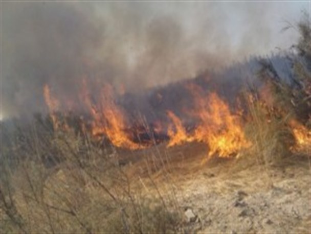 آتش سوزی ۶ هکتار از اراضی روستای لورگ باغ