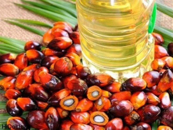 محصولات لبنی تولیدی در استان یزد روغن پالم ندارند