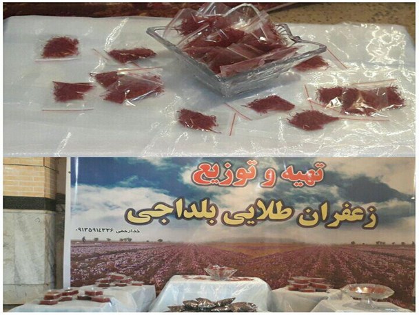 طلای سرخ کام تولید کننده بروجنی را شیرین کرد