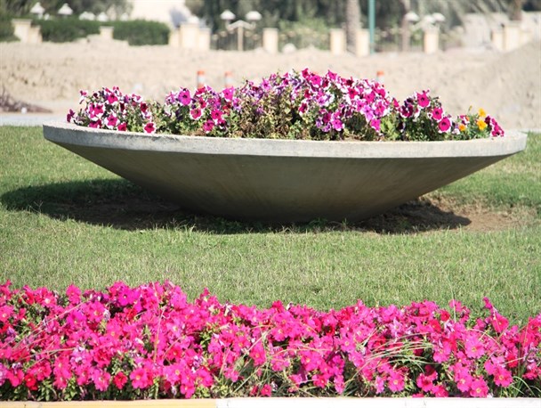 گل هایی که طراوت و شادابی را به فضای شهر آوردند+تصاویر