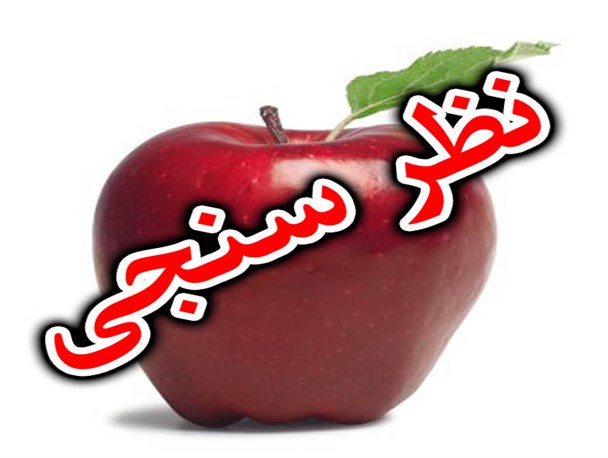 نتایج جالب یک نظر سنجی در مورد عملکرد شش ماهه نمایندگان شیراز/ ضعیف در صدر ارزیابی+ عکس