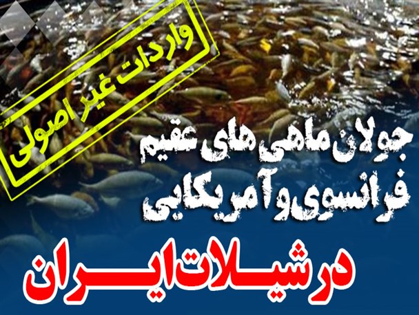 عکس‌نوشت/ واردات غیر اصولی در شیلات