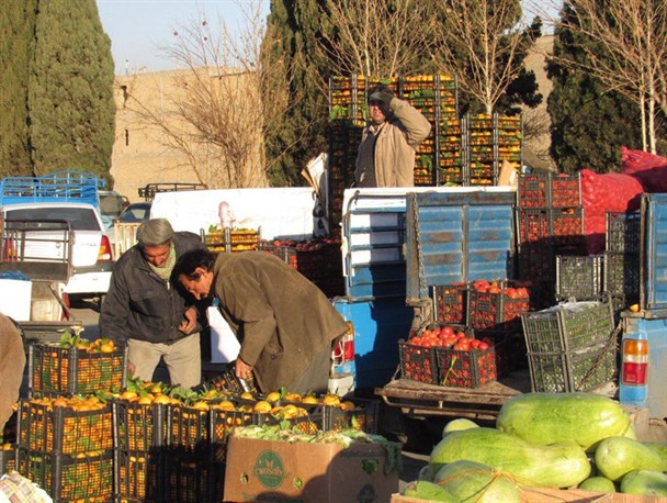 اندر احوالات بازار میوه و تره بار لنجان+ تصاویر