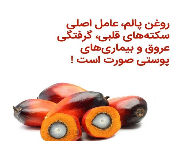واردات "پالم" هر سال بیشتر از پارسال!+پوستر