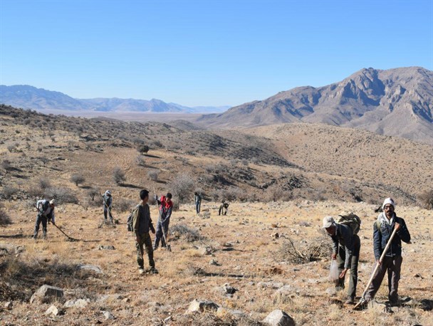 پنجمین مرحله عملیات احیای مناطق آسیب دیده جنگل های پاسارگاد