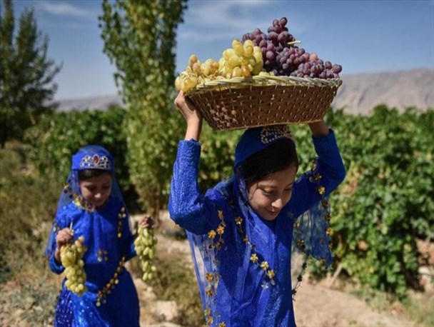 رونق گردشگری کشاورزی؛ عامل تقویت اقتصاد روستا و کشاورز/ توجه به کشاورزی، مهاجرت به شهرها را کاهش می‌دهد