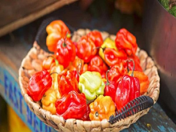 وقتی جای آناناس، فلفل دلمه ای بخریم، چله اقتصاد به در خواهد شد!