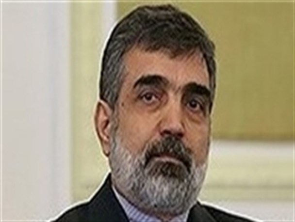 صبح امروز، زمان آغاز عملیات تعلیق غنی‌سازی ۲۰ درصد/بازرسان در قالب ۳ تیم به اراک، فردو و نطنز می‌روند