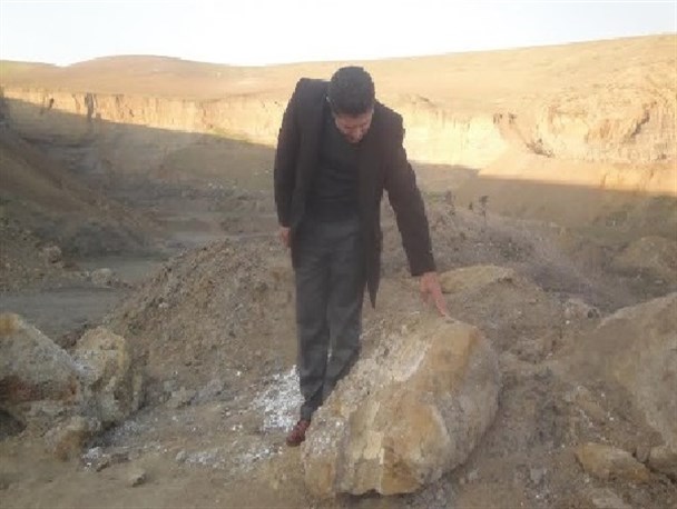 فسیل حیوان عظیم‌الجثه کشف‌شده در بیله‌سوار نیازمند بررسی بیشتر است/ استقبال از محققان و پژوهشگران جهت تحقیقات علمی در شهرستان