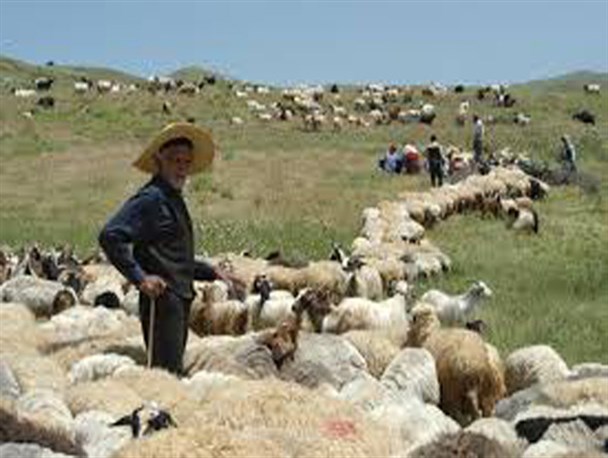 صدور و تمدید ۲۰۲ فقره پروانه بهره‌برداری دامداری کوچک روستایی در گلوگاه