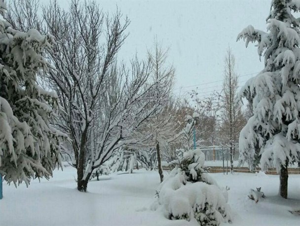 آشتی زمستان با بام ایران/ جاده ۵۰ روستای فریدونشهر بسته شد