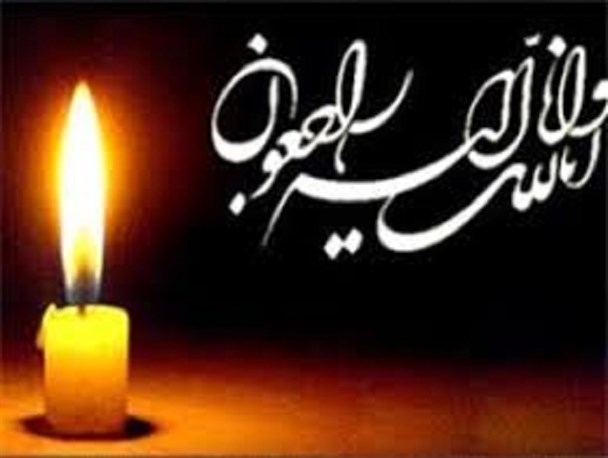 مادر شهید حسن سالمی به فرزند شهیدش پیوست