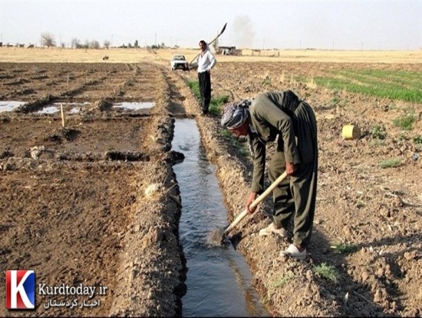 چالشهای پیش روی توسعه کشاورزی در کردستان