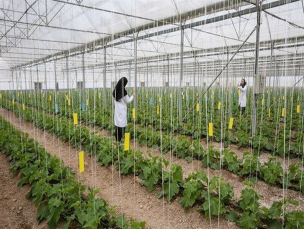 ۳۱ میلیارد تومان تسهیلات اشتغال روستایی در بروجرد پرداخت شد