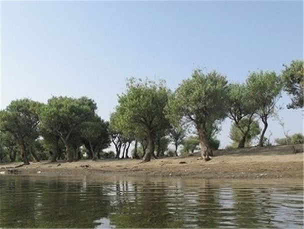 توسعه گردشگری مهرستان در گرو توجه مسئولان است