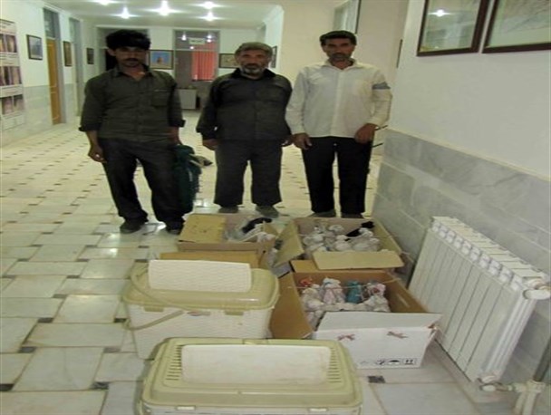 کشف محموله قاچاق بلدرچین وحشی در شهرستان خاتم