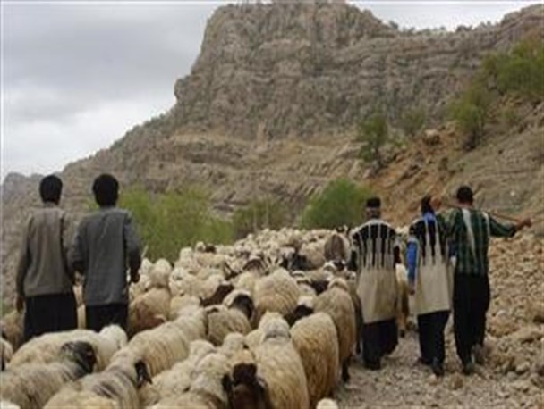 سفرنامه تصویری یک ایل:ایلراه های زیبای کوهستانی میزبان عشایر غیور بختیاری + تصاویر
