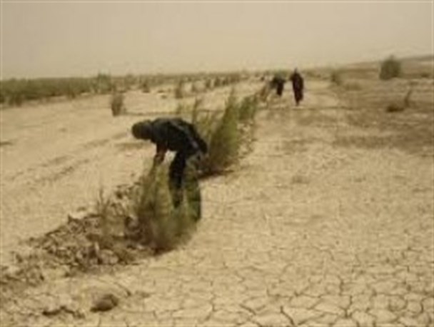 دانشجویان دانشگاه زابل در اعتراض به حقآبه تالاب هامون تجمع خواهند کرد