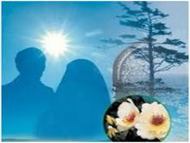 زوجین،مشکلاتشان را خصوصی بگذارند