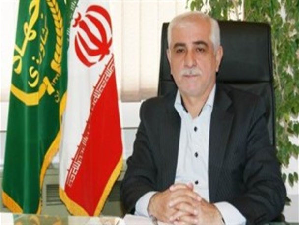 نمی‌توان بر میزان حق‎الزحمه کارگران شالیزاری نظارت داشت/50 میلیارد تومان برای مکانیزاسیون درنظر گرفتیم