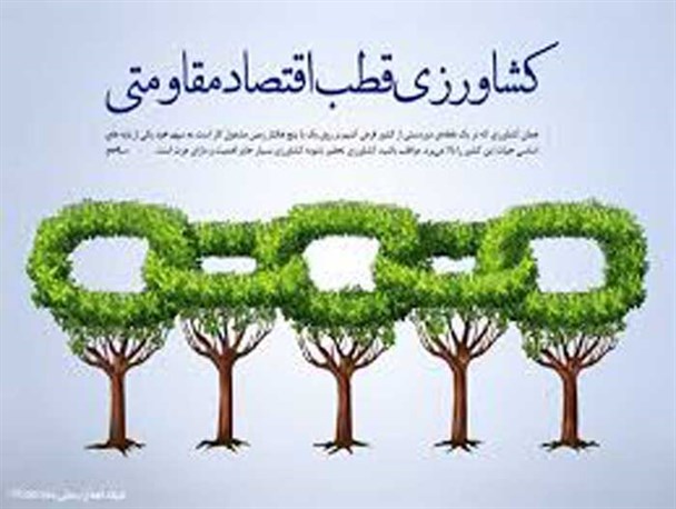کشاورزی تجلی اقتصاد مقاومتی