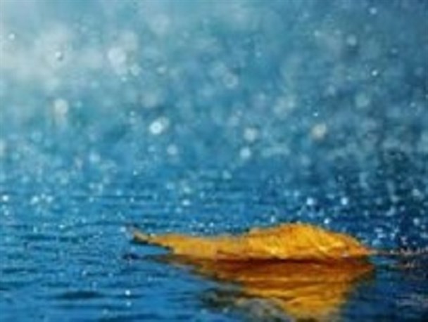 ۷۹ میلی‌متر بارندگی در مشهد به ثبت رسید/ قوچان بیشترین بارش را داشت